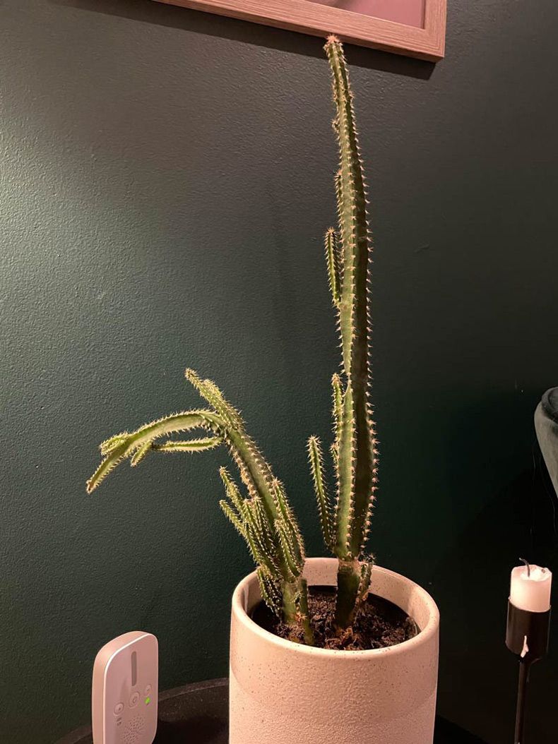 Gewoon een verzameling hilarische foto's #1516