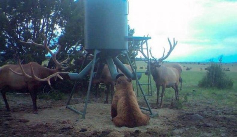 Gewoon een verzameling hilarische foto's #1517