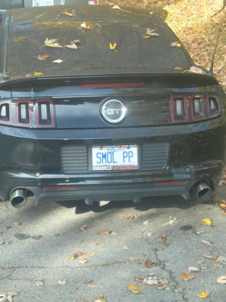 Gewoon een verzameling hilarische foto's #1517