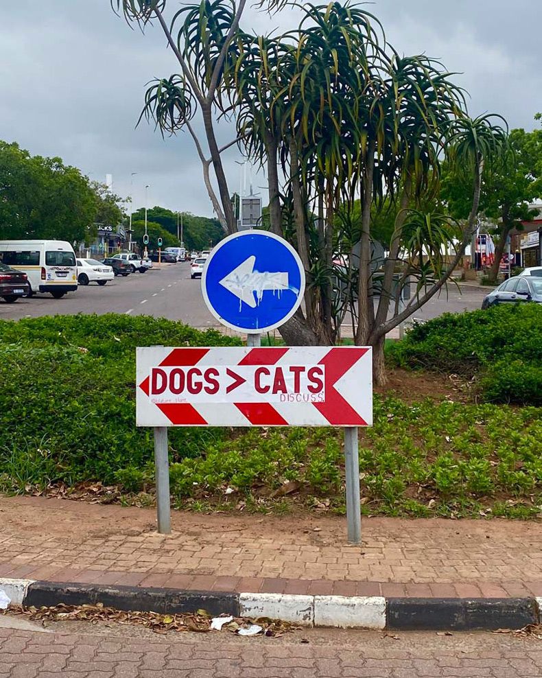 Gewoon een verzameling hilarische foto's #1517