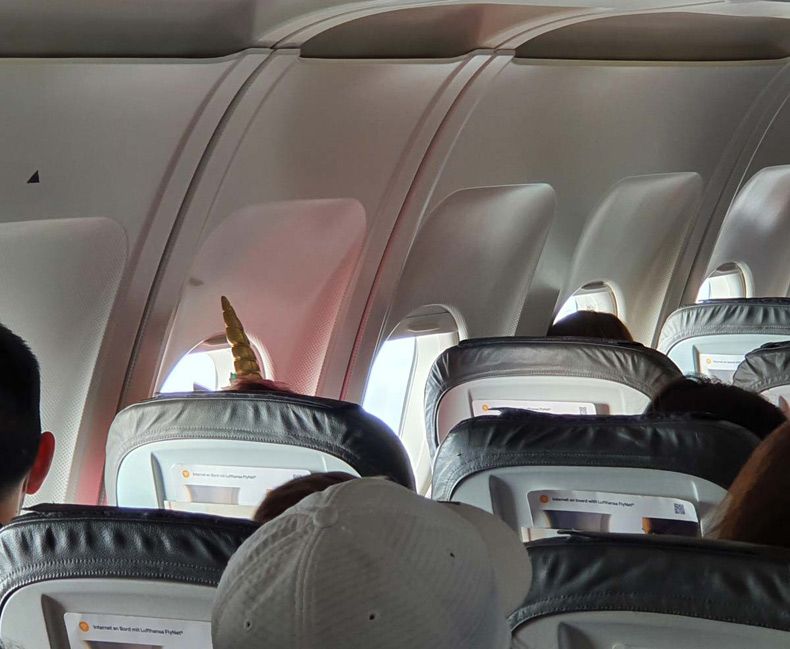 Gewoon een verzameling hilarische foto's #1517