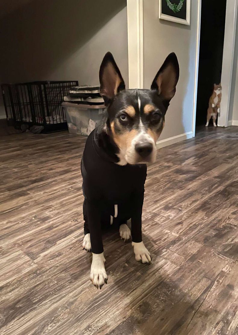 Gewoon een verzameling hilarische foto's #1518