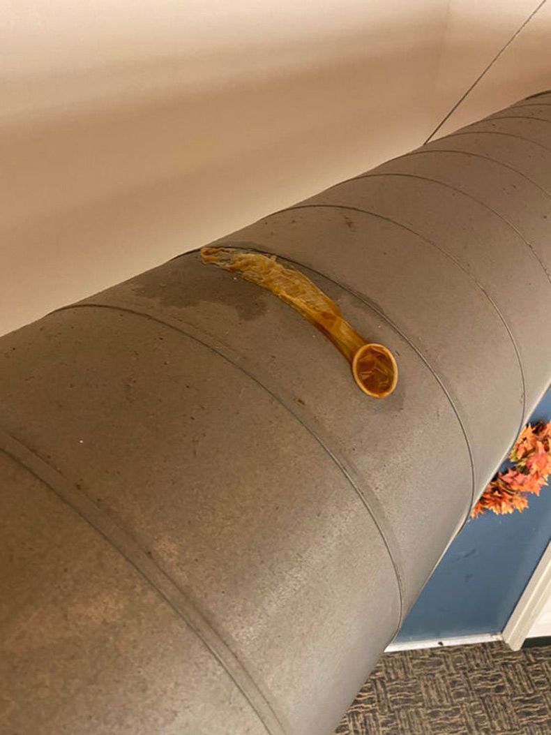 Gewoon een verzameling hilarische foto's #1518