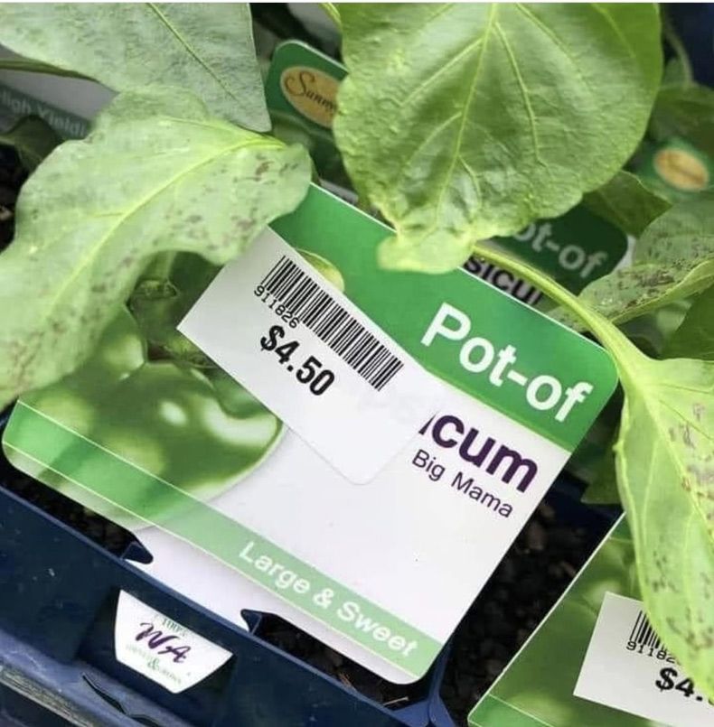 Gewoon een verzameling hilarische foto's #1518