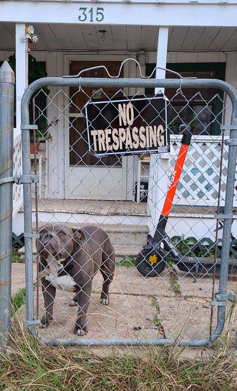 Gewoon een verzameling hilarische foto's #1518