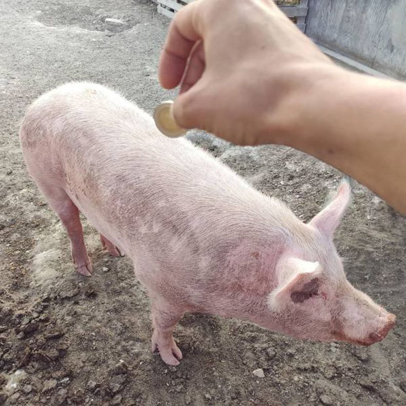 Gewoon een verzameling hilarische foto's #1519