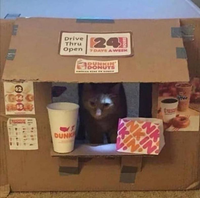 Gewoon een verzameling hilarische foto's #1520