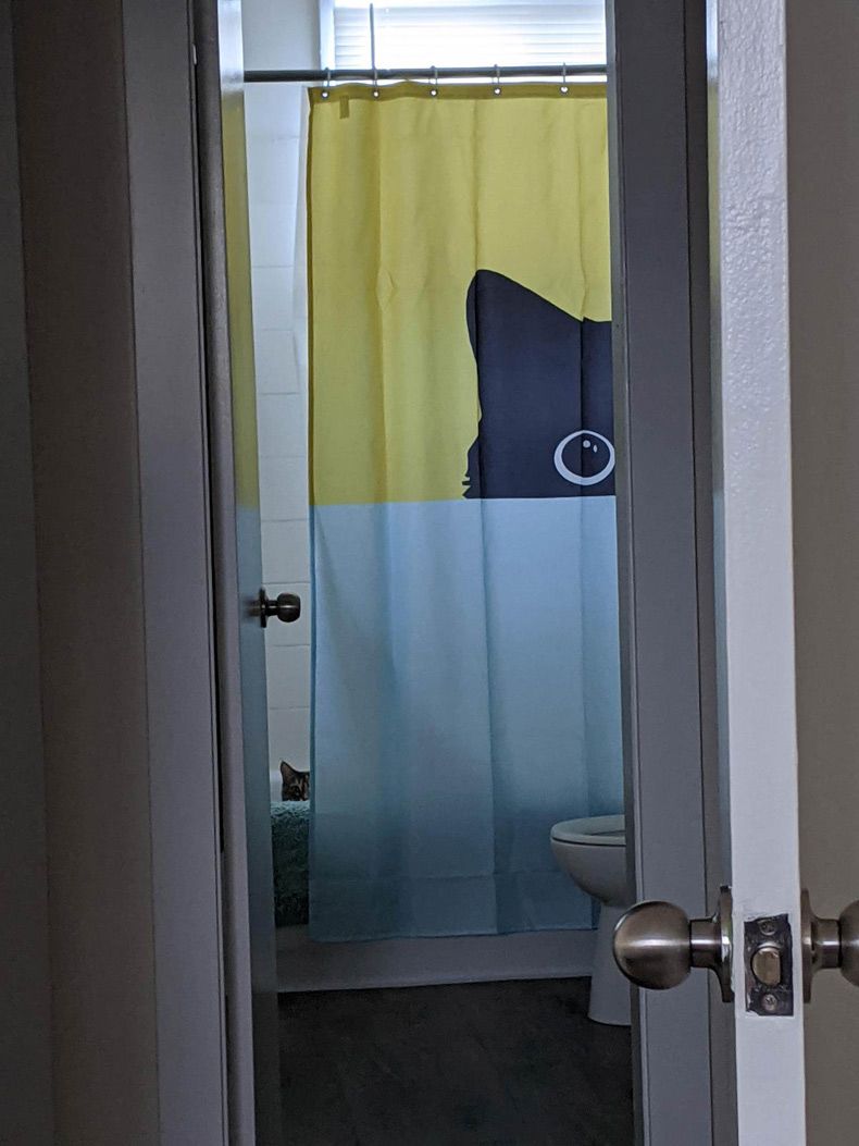 Gewoon een verzameling hilarische foto's #1520