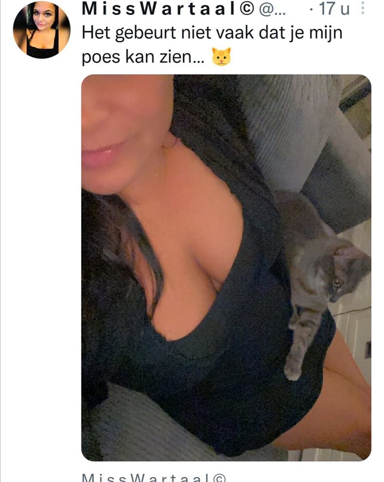 Gewoon een verzameling hilarische foto's #1520