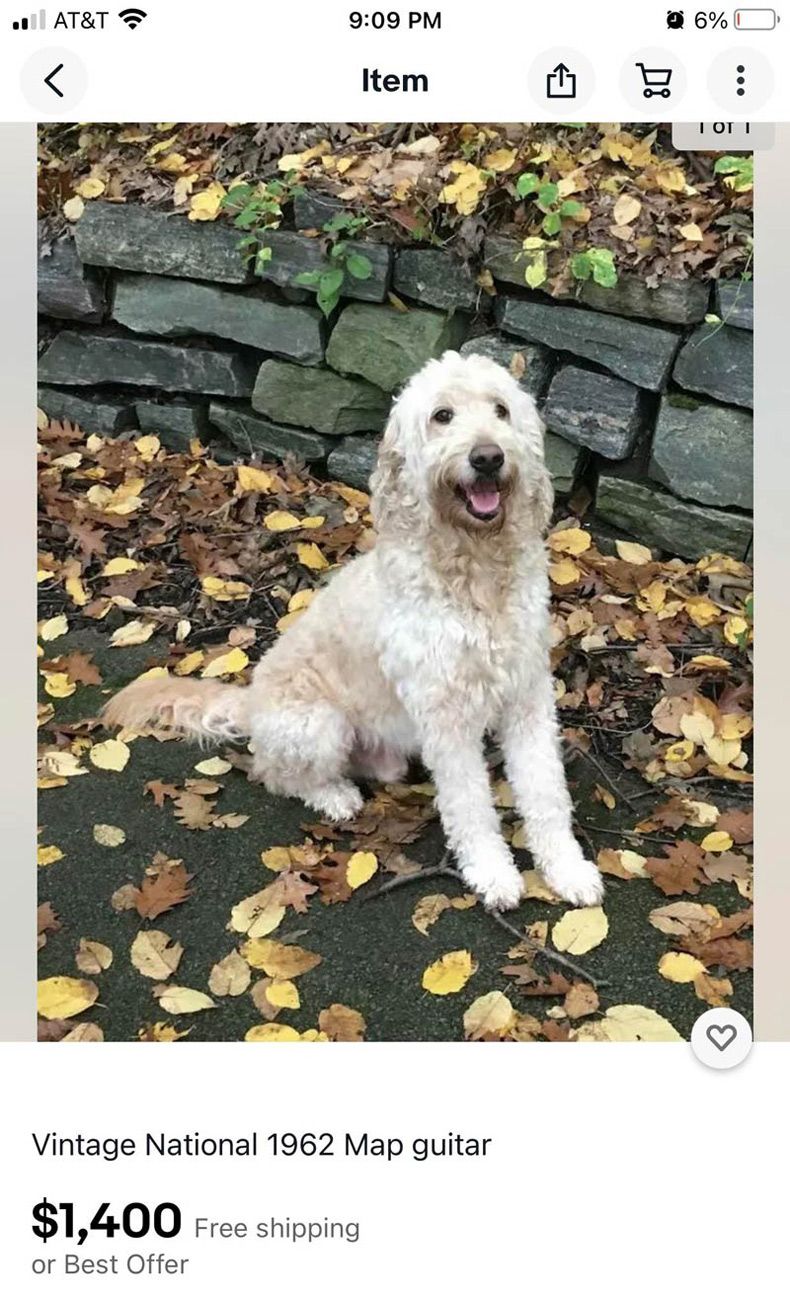 Gewoon een verzameling hilarische foto's #1524