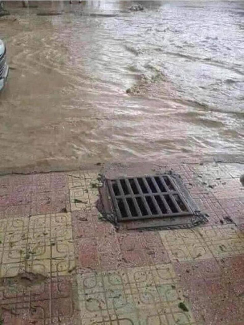 Gewoon een verzameling hilarische foto's #1524