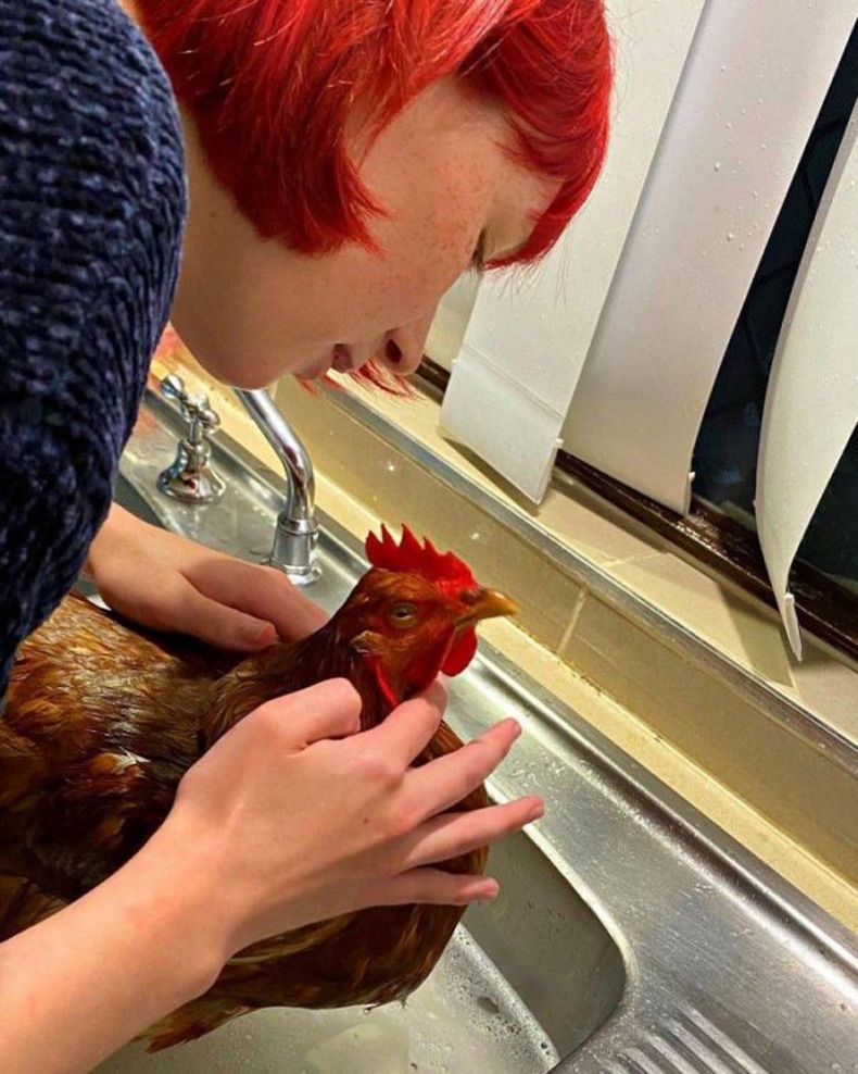 Gewoon een verzameling hilarische foto's #1524