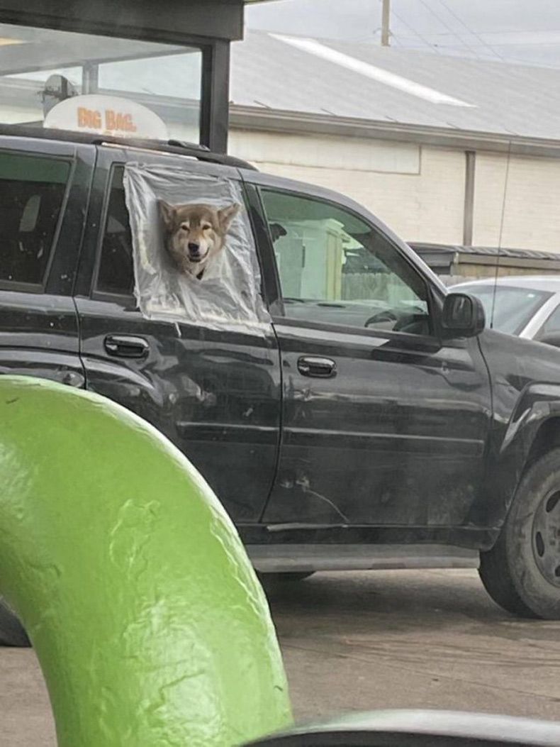 Gewoon een verzameling hilarische foto's #1524