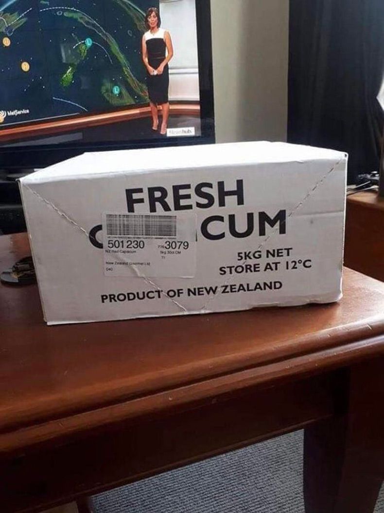 Gewoon een verzameling hilarische foto's #1524