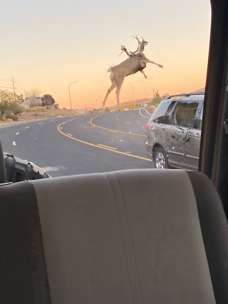 Gewoon een verzameling hilarische foto's #1524