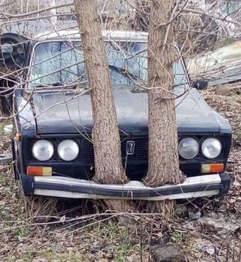 Gewoon een verzameling hilarische foto's #1527