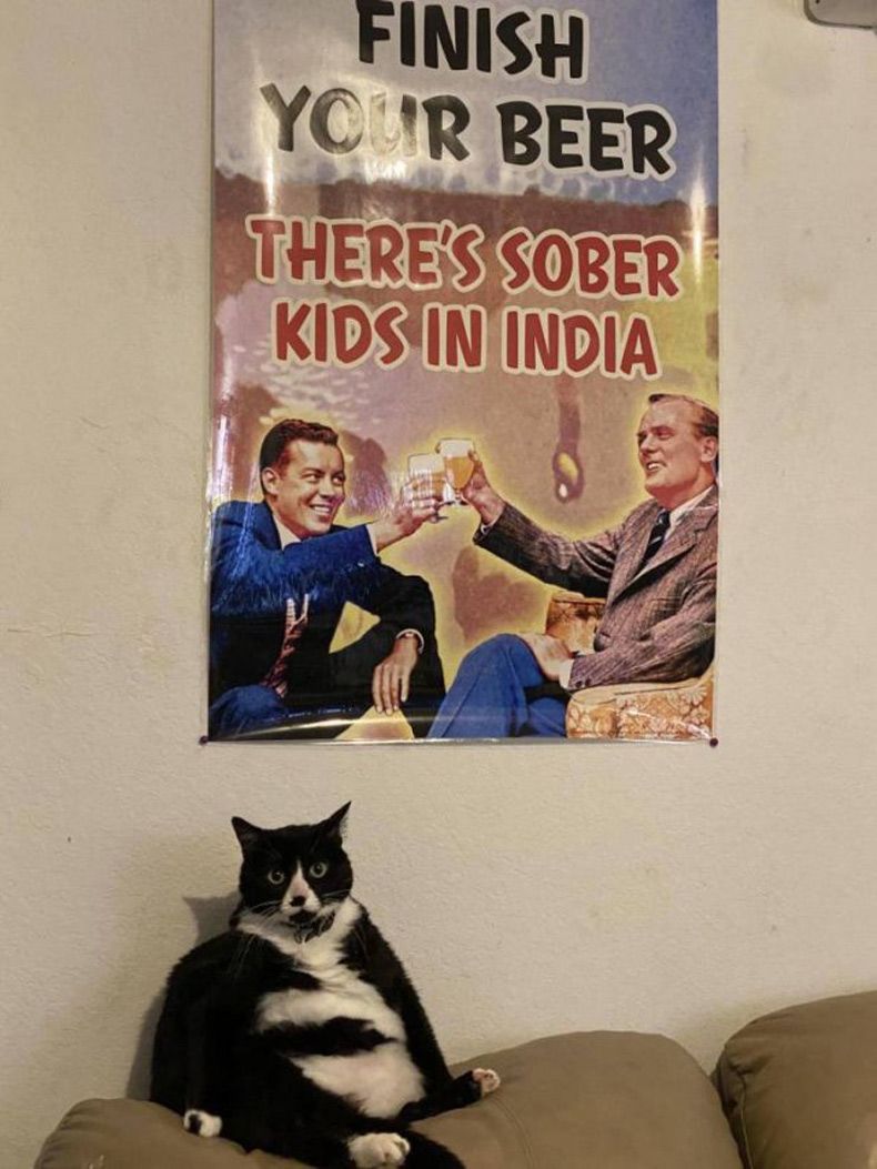 Gewoon een verzameling hilarische foto's #1527