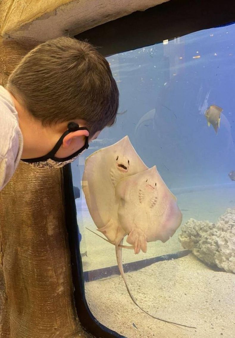 Gewoon een verzameling hilarische foto's #1527