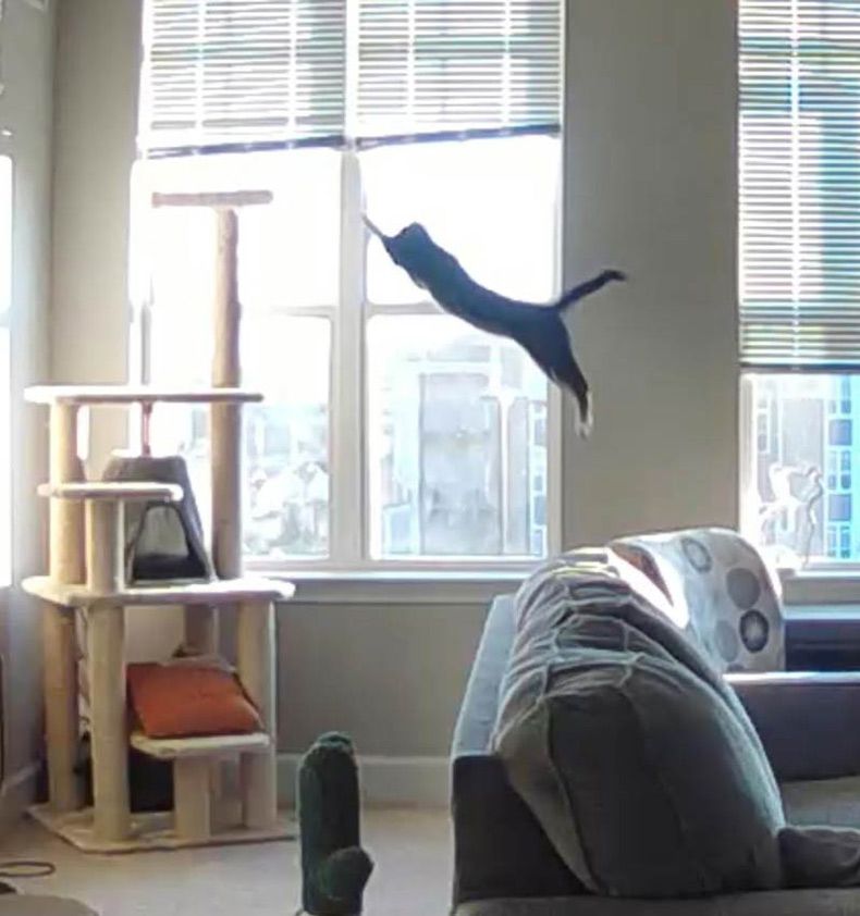 Gewoon een verzameling hilarische foto's #1527