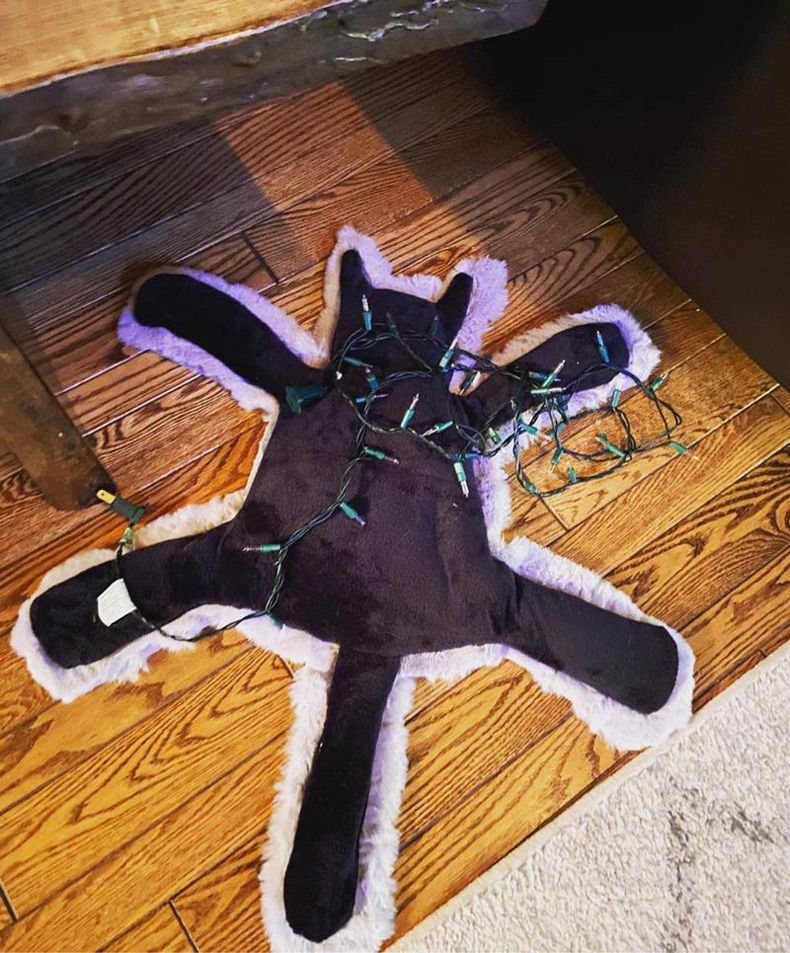 Gewoon een verzameling hilarische foto's #1527