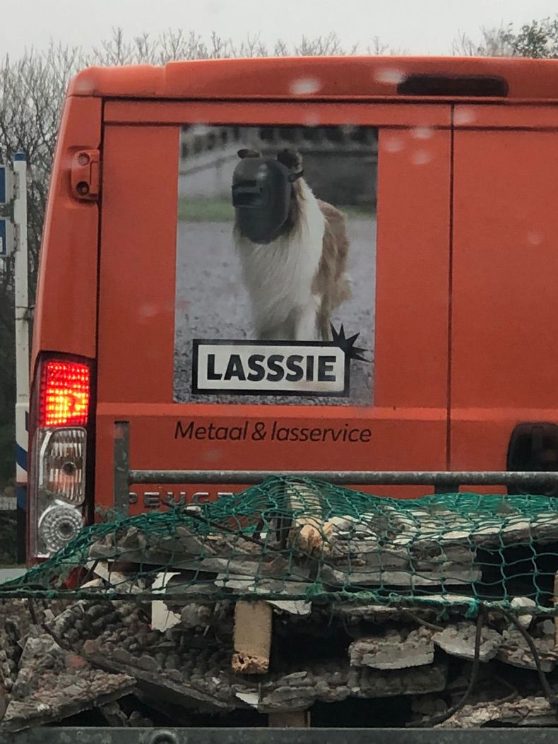 Gewoon een verzameling hilarische foto's #1527