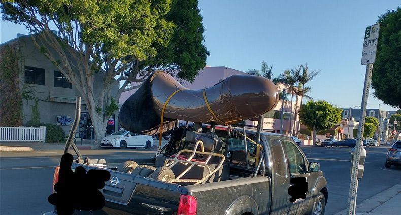 Gewoon een verzameling hilarische foto's #1527