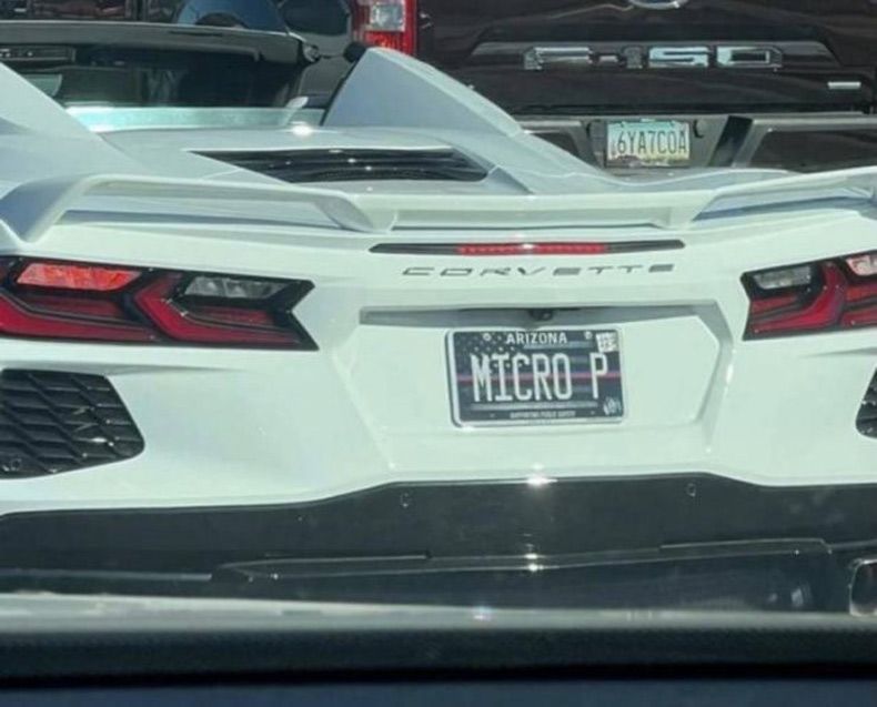 Gewoon een verzameling hilarische foto's #1530