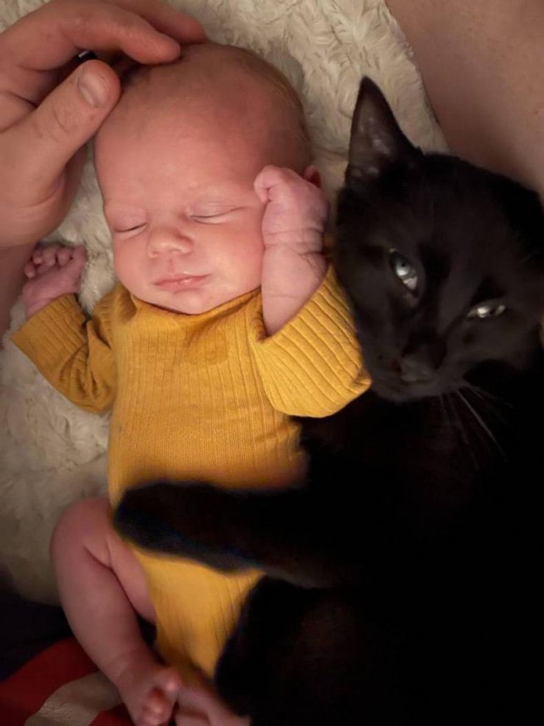 Gewoon een verzameling hilarische foto's #1530