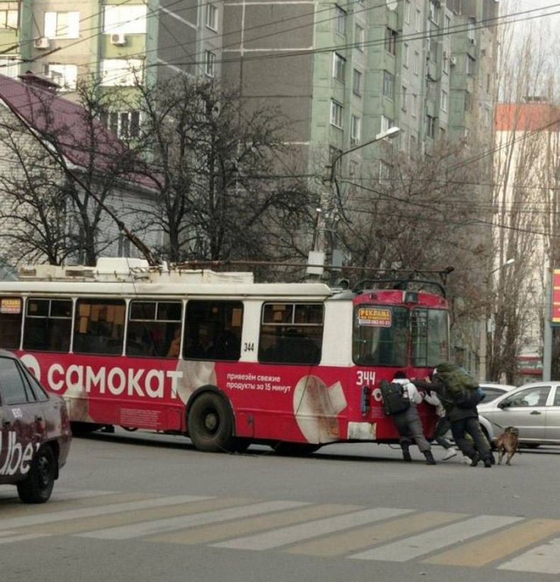 Gewoon een verzameling hilarische foto's #1530