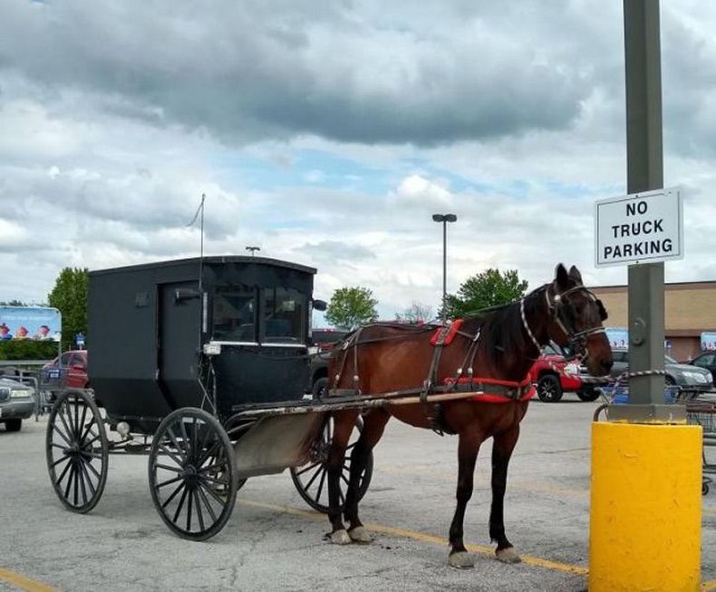 Gewoon een verzameling hilarische foto's #1530