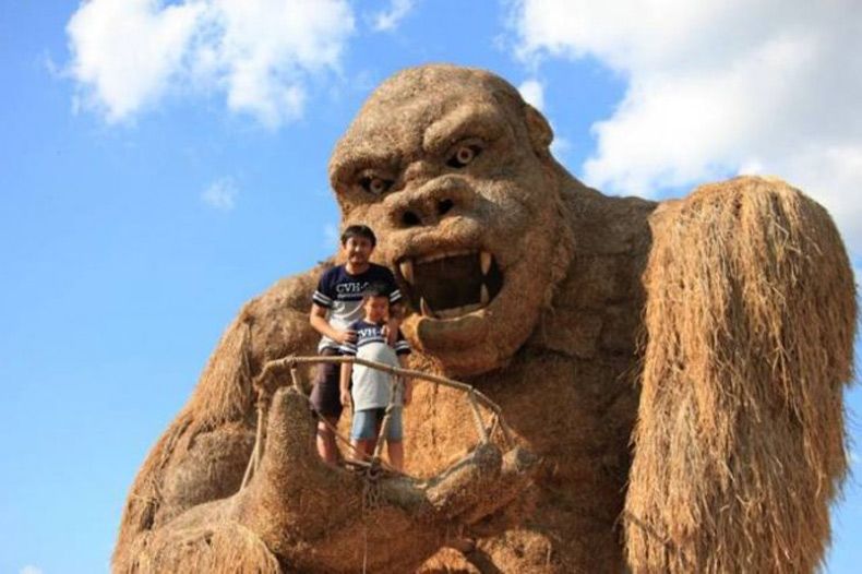 Gewoon een verzameling hilarische foto's #1530