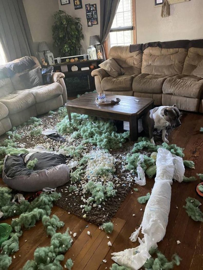 Gewoon een verzameling hilarische foto's #1530