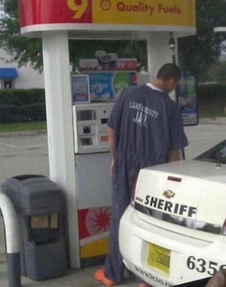 Gewoon een verzameling hilarische foto's #1530