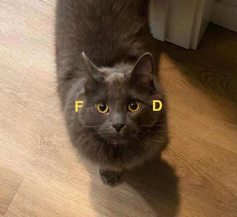 Gewoon een verzameling hilarische foto's #1530