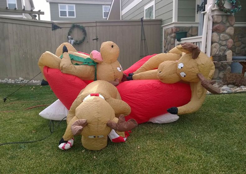 Gewoon een verzameling hilarische foto's #1530