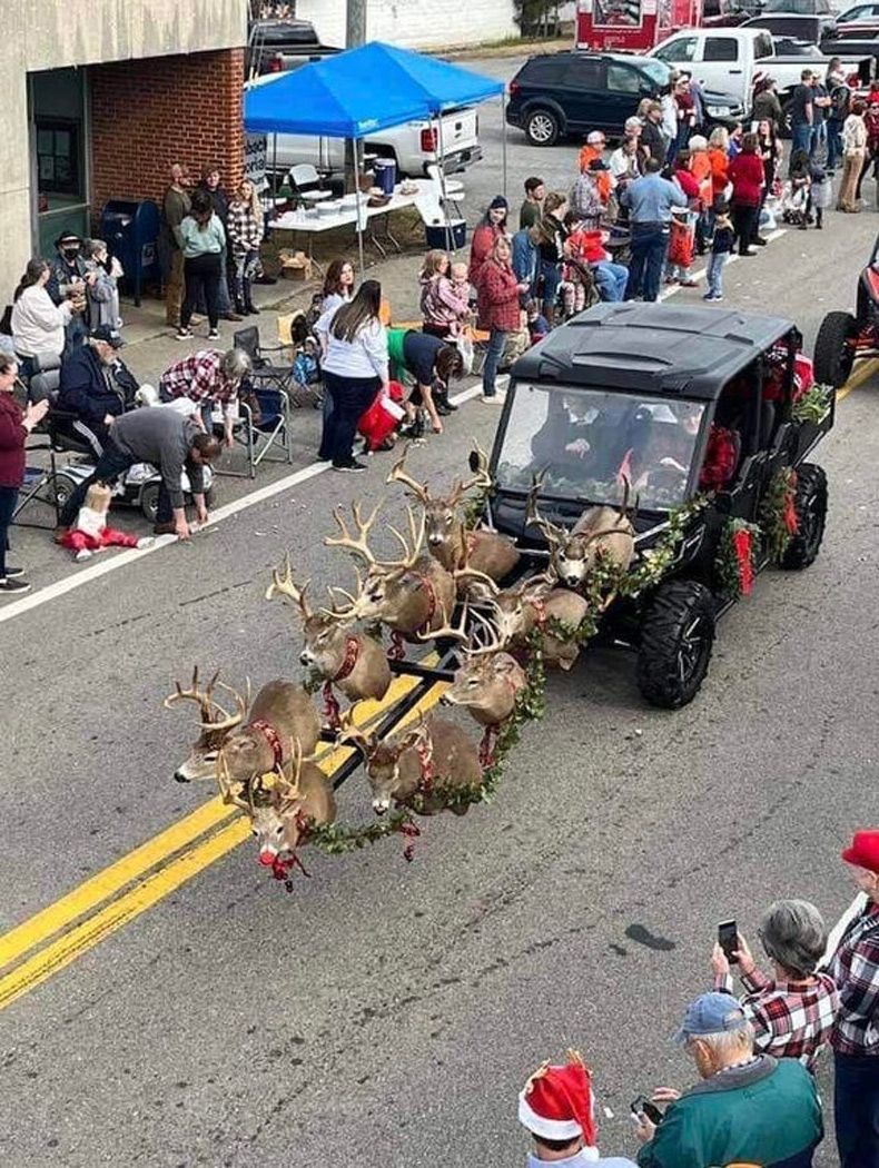 Gewoon een verzameling hilarische foto's #1530
