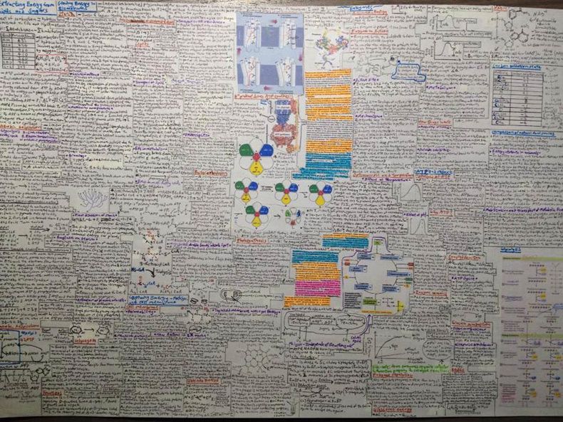 Gewoon een verzameling hilarische foto's #1530