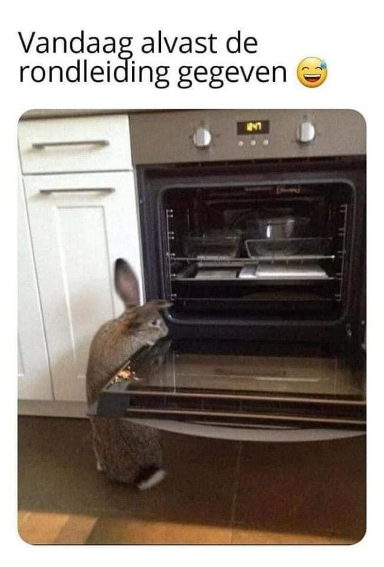 Gewoon een verzameling hilarische foto's #1530