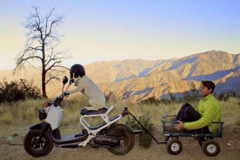 Gewoon een verzameling hilarische foto's #1531