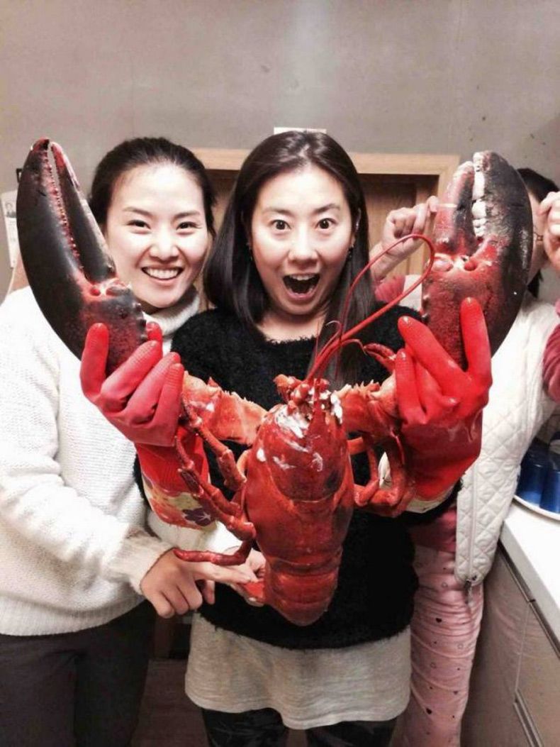 Gewoon een verzameling hilarische foto's #1531