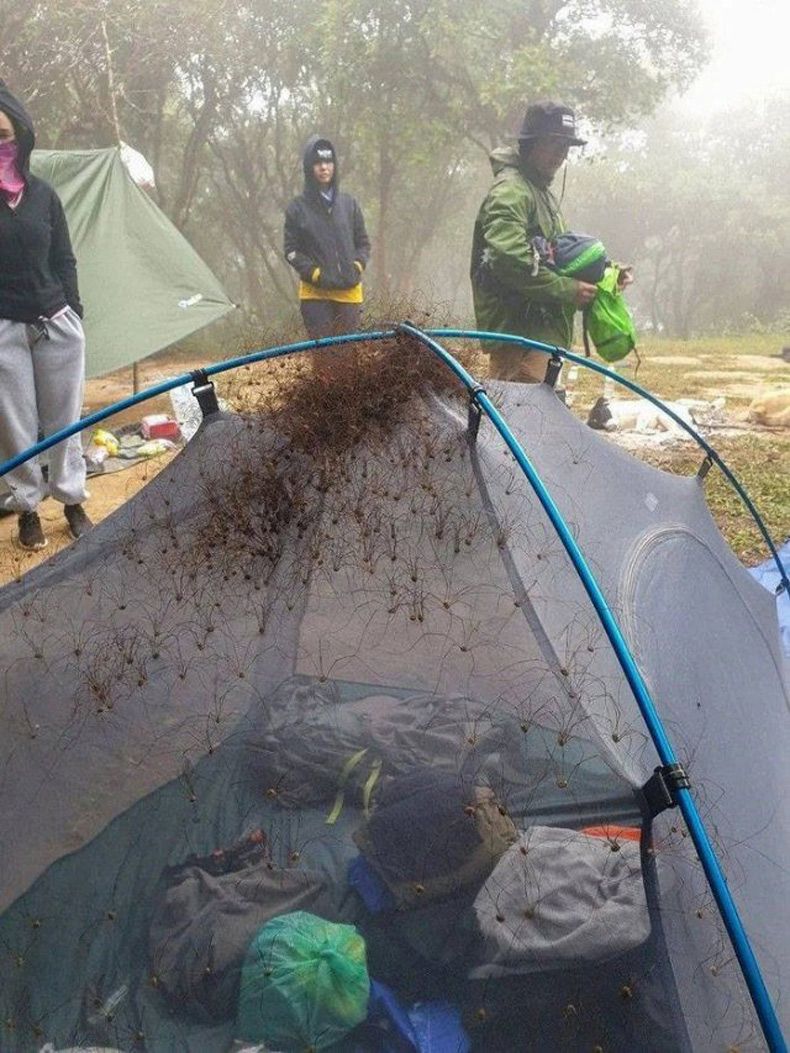 Gewoon een verzameling hilarische foto's #1531