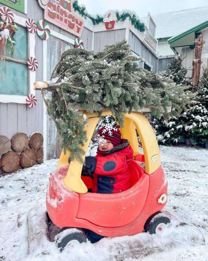 Gewoon een verzameling hilarische foto's #1531