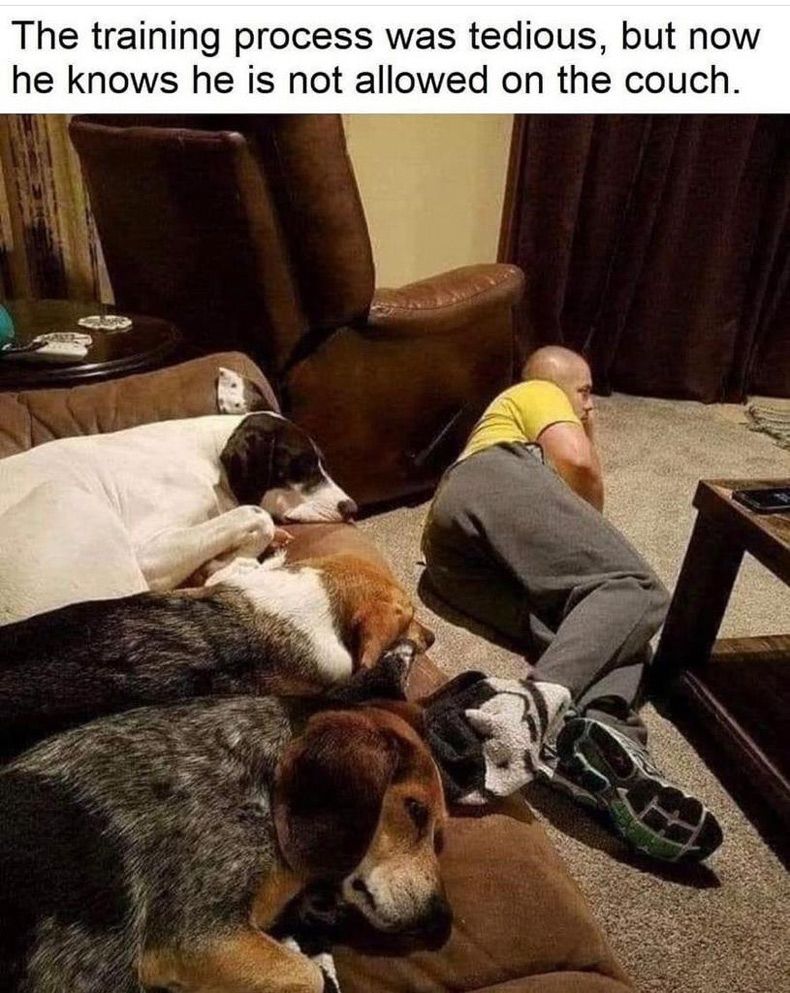 Gewoon een verzameling hilarische foto's #1531