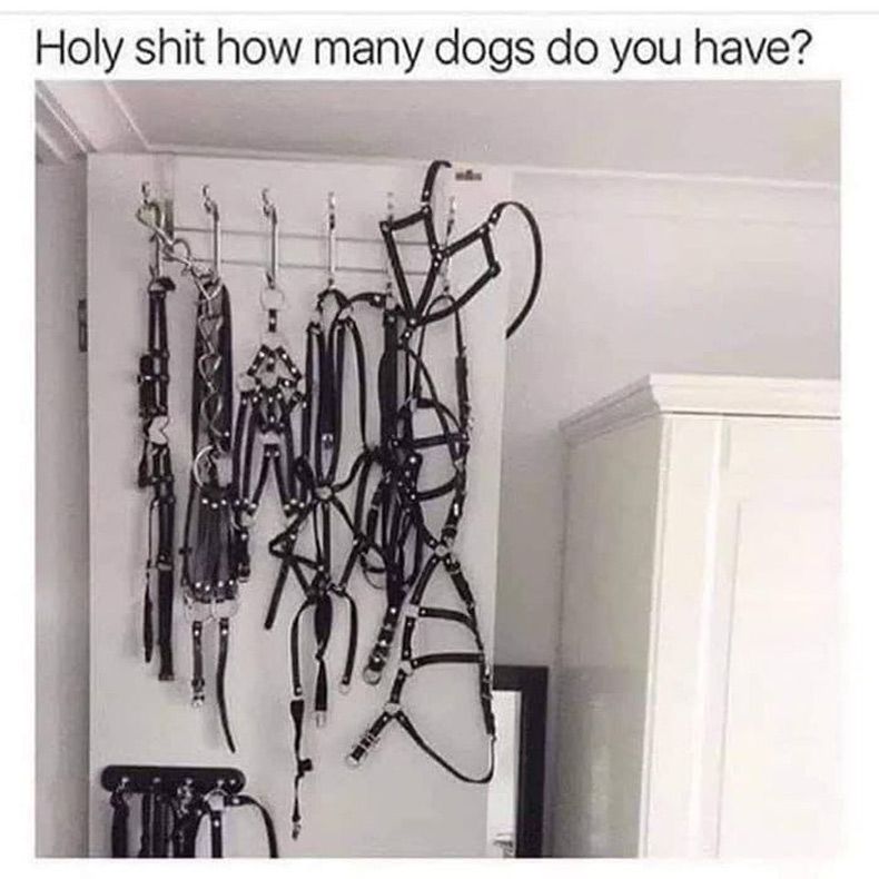 Gewoon een verzameling hilarische foto's #1531