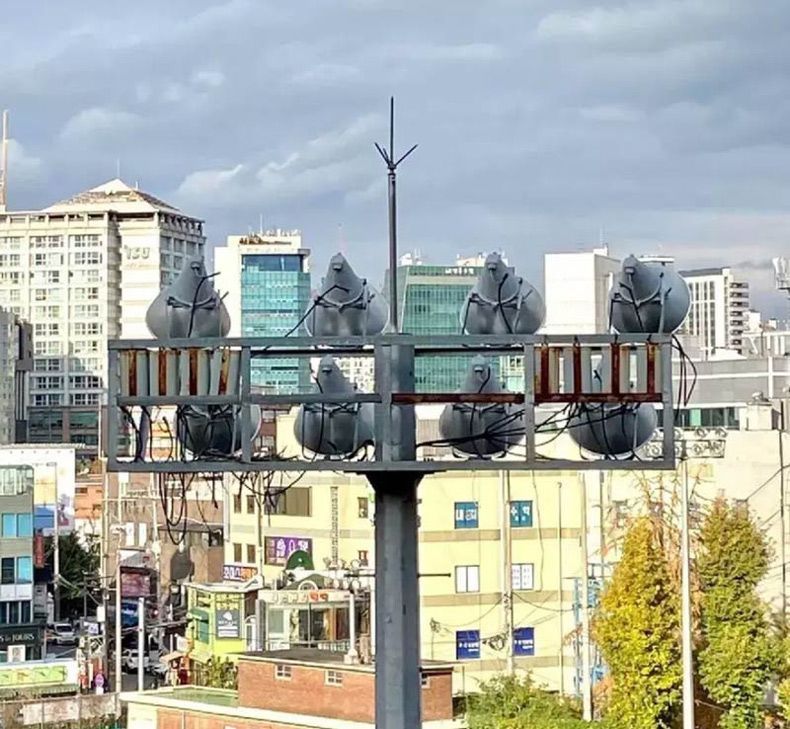 Gewoon een verzameling hilarische foto's #1531