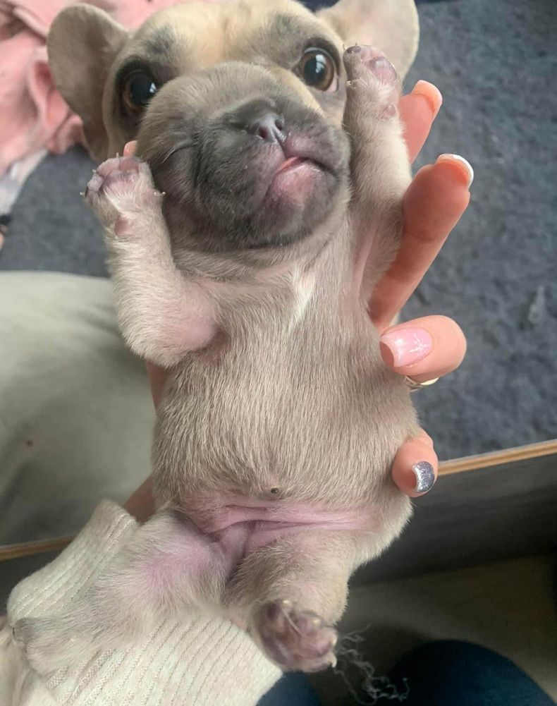 Gewoon een verzameling hilarische foto's #1531