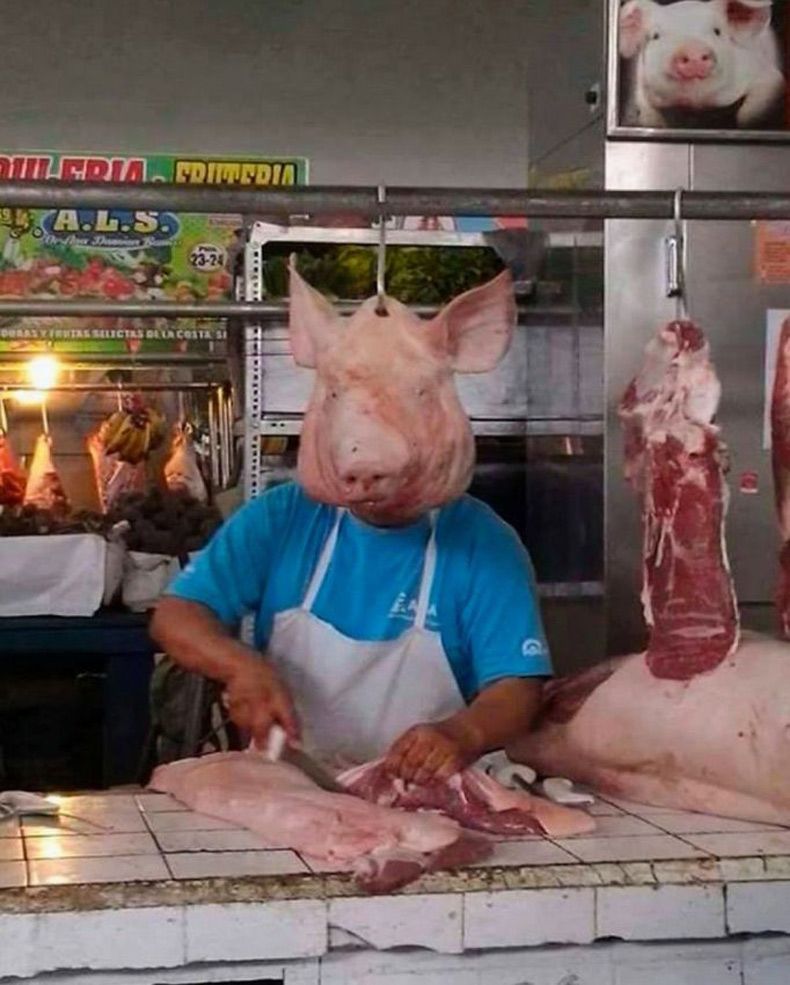 Gewoon een verzameling hilarische foto's #1531