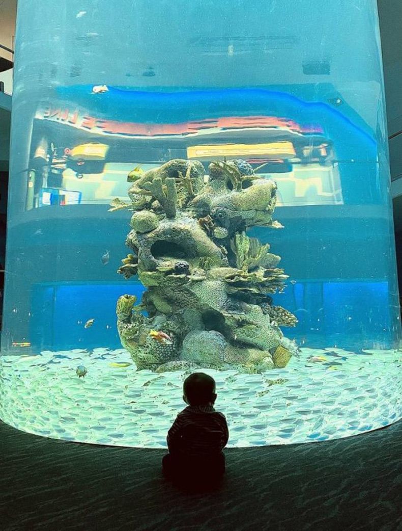 Gewoon een verzameling hilarische foto's #1532