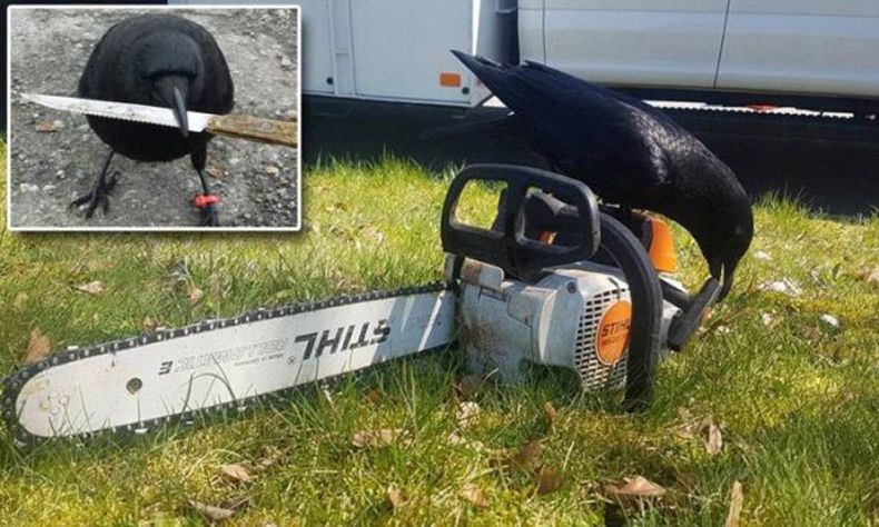 Gewoon een verzameling hilarische foto's #1532