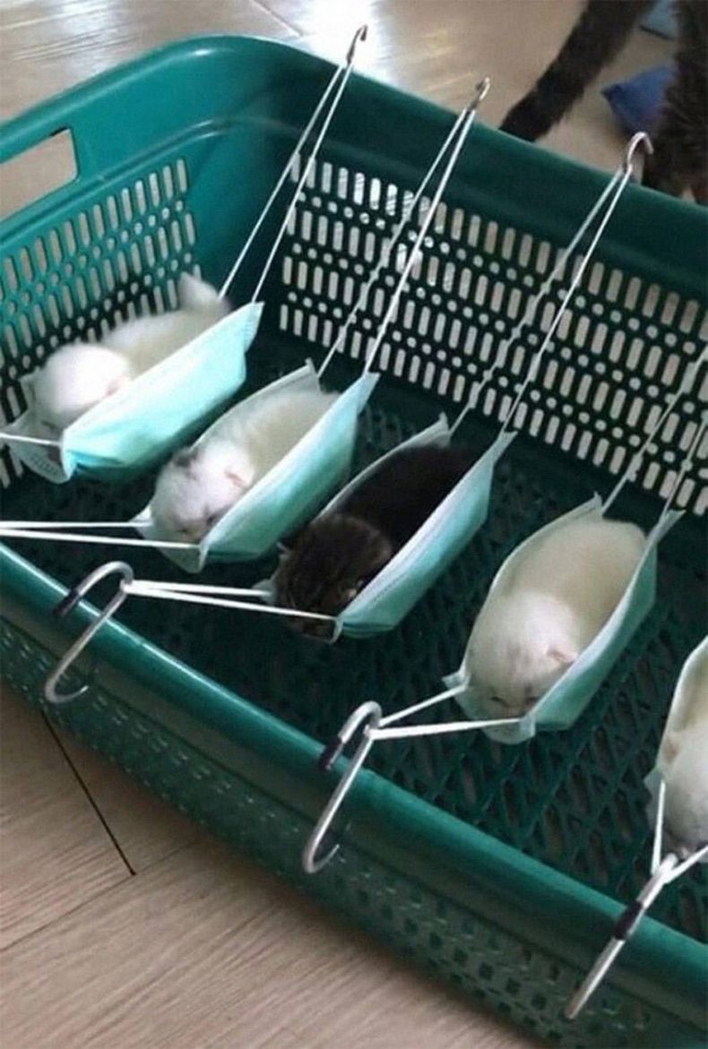 Gewoon een verzameling hilarische foto's #1532